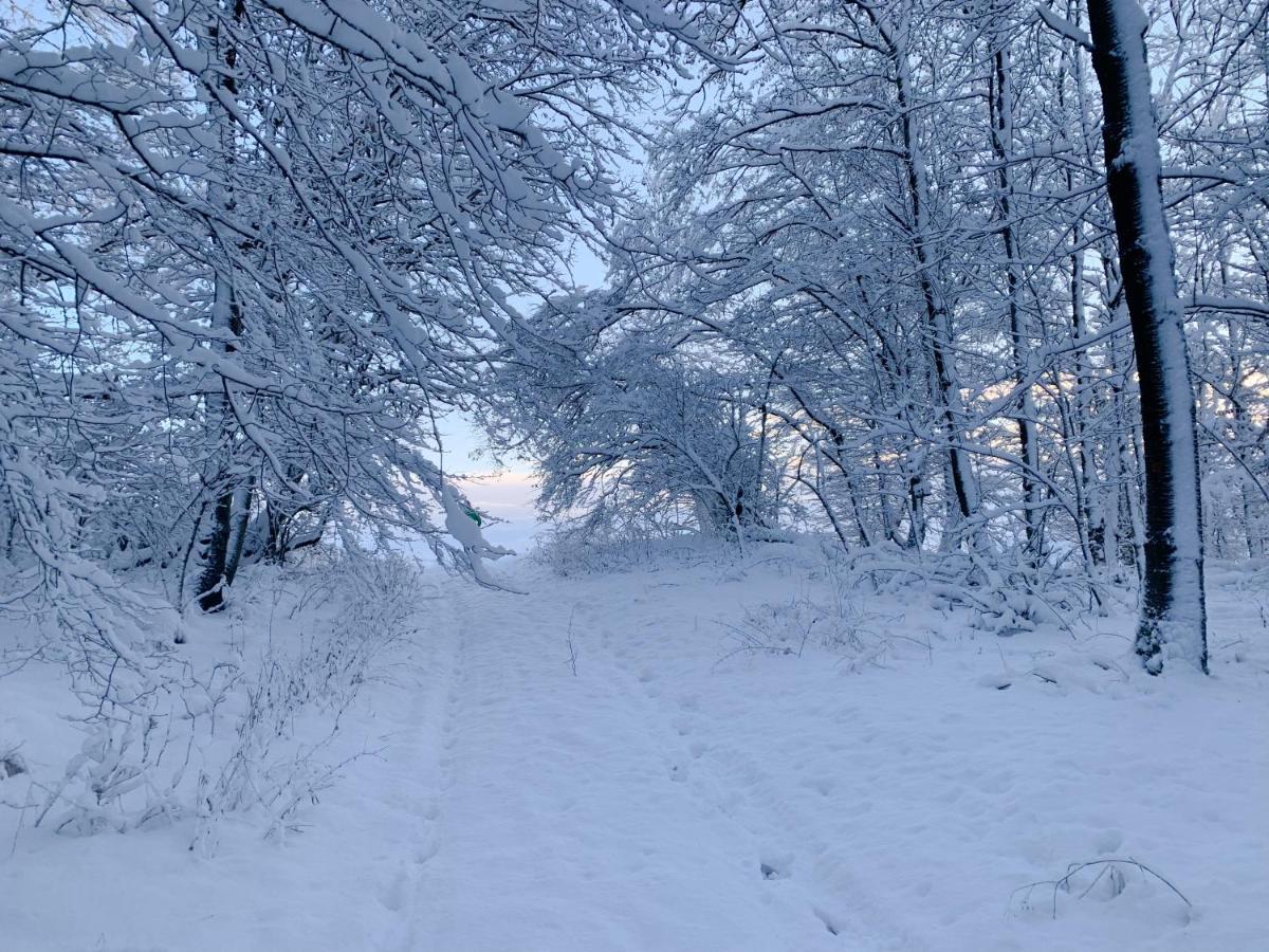 Steinau an der Straße Ferienwohnung Inmitten Der Natur Mit Sauna מראה חיצוני תמונה